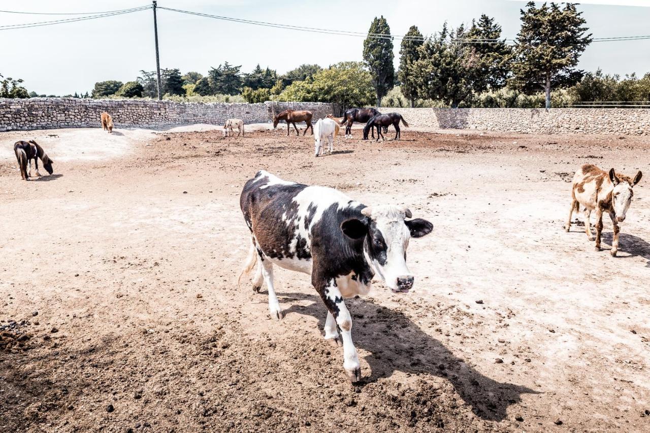 Masseria Prosperi Alimini Eksteriør billede