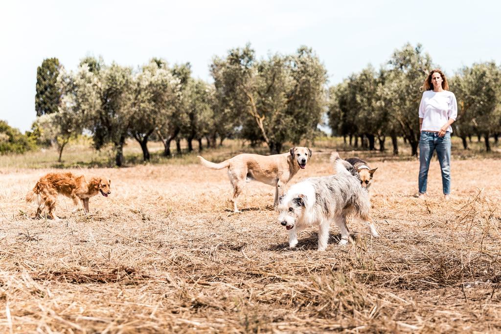 Masseria Prosperi Alimini Eksteriør billede