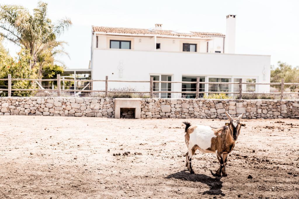 Masseria Prosperi Alimini Eksteriør billede