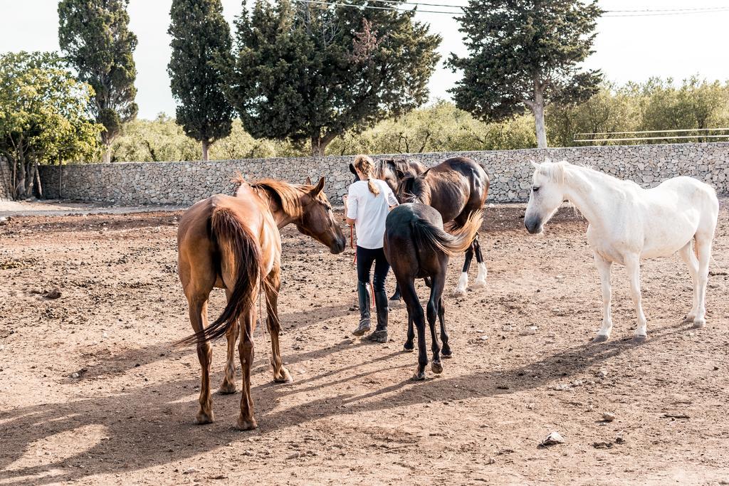 Masseria Prosperi Alimini Eksteriør billede